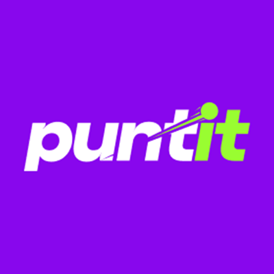 Puntit Casino logo