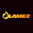 flamez casino logo