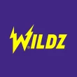 wildz casino logo
